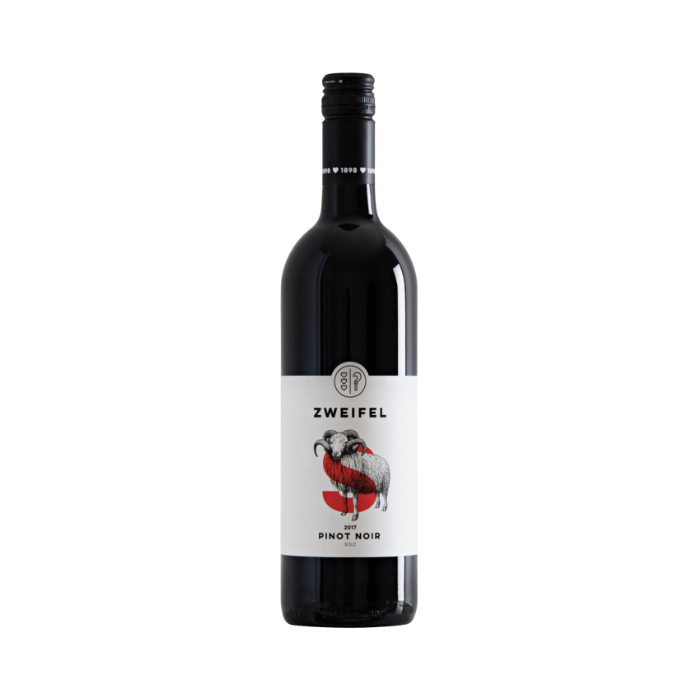 Pinot Noir Solo Zweifel vor weissem Hintergrund